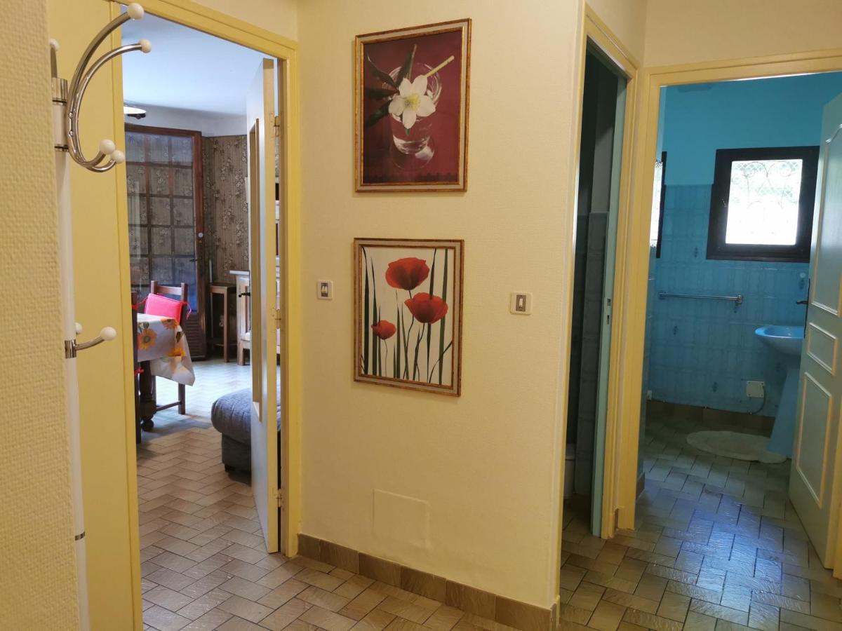 F2 de 45 m2 avec jardin au rdc dans villa chiens OK à 5 min à pied des Thermes de Vernet-les-Bains, location de samedi à samedi Exterior foto