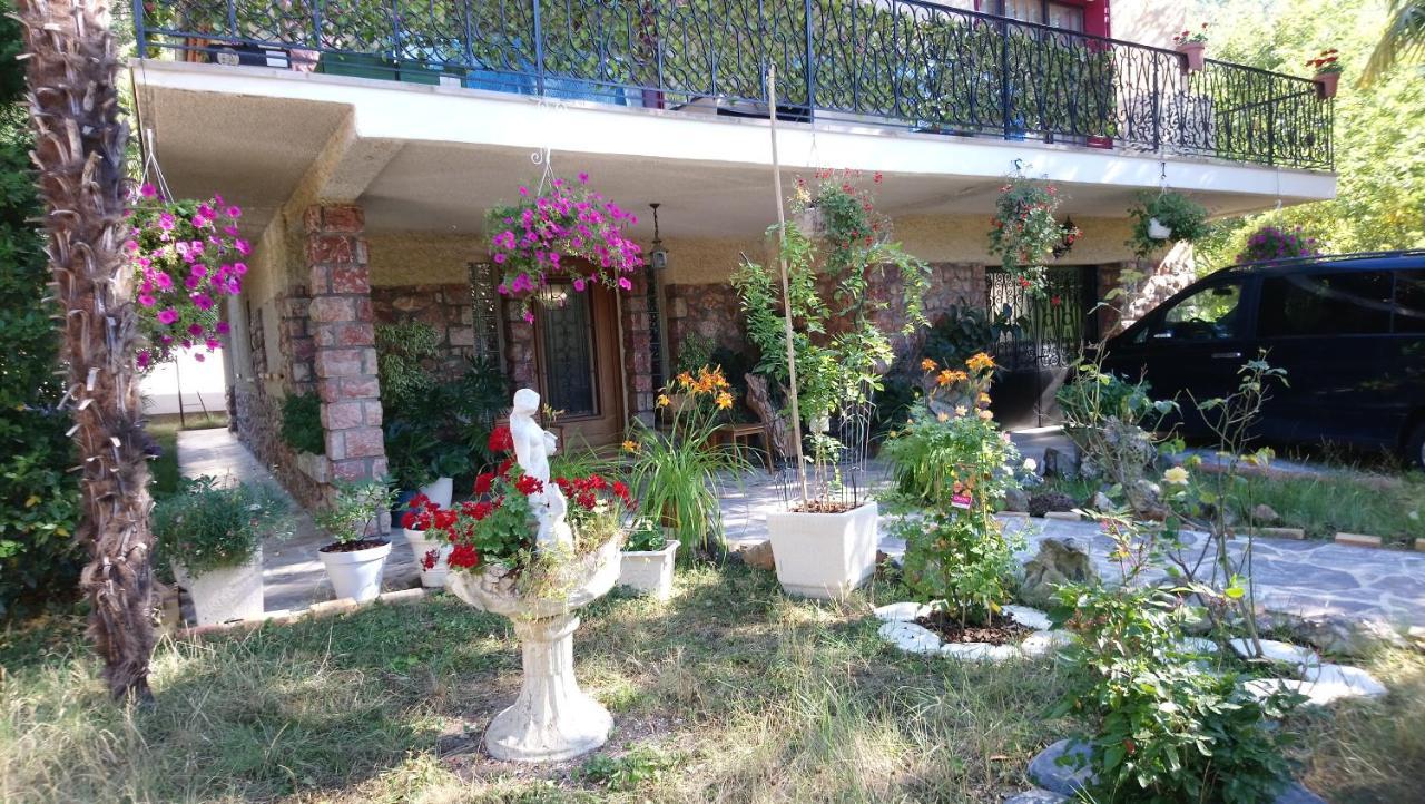 F2 de 45 m2 avec jardin au rdc dans villa chiens OK à 5 min à pied des Thermes de Vernet-les-Bains, location de samedi à samedi Exterior foto